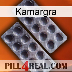 Kamargra 31